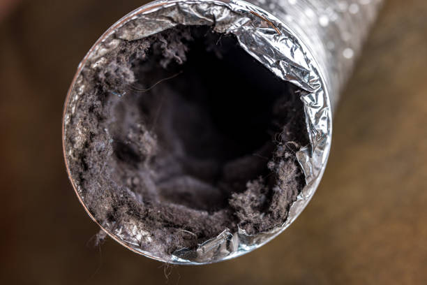 Best Air Duct Cleaning Near Me  in Coral Springs, FL